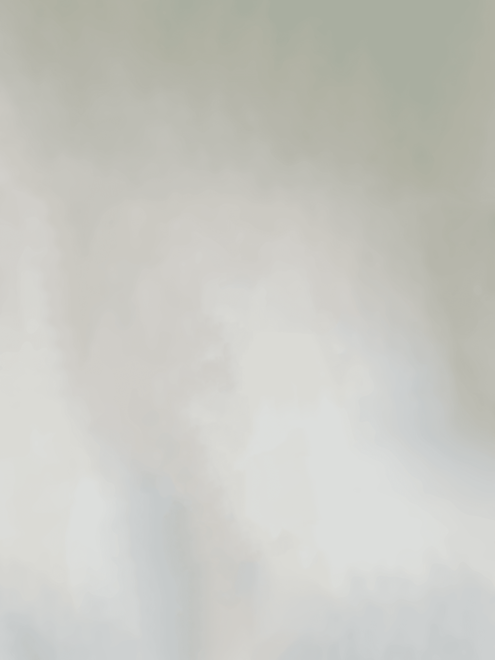 Section 1 Background